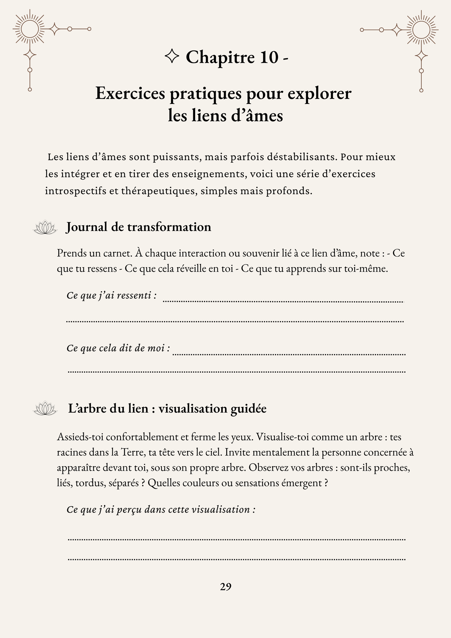 CONNEXION D'ÂMES - Comprendre, guérir et traverser les liens sacrés